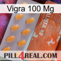 Vigra 100 Mg 43